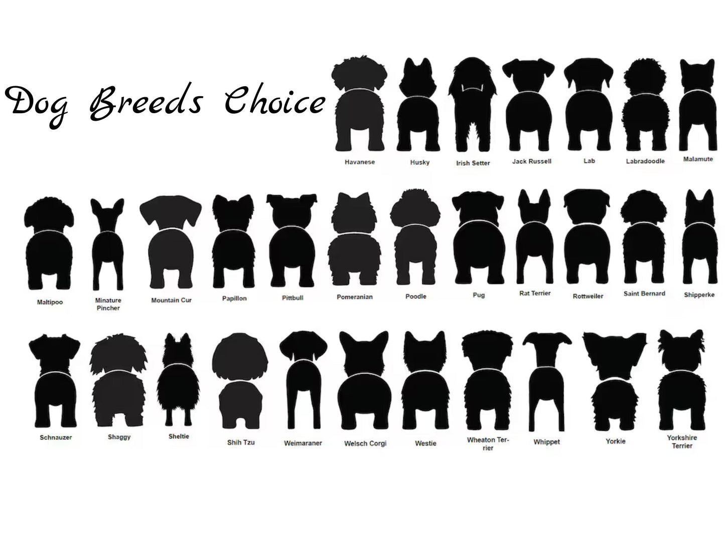 Personalized Dog Leash Hook